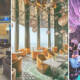Luxury Restaurants In Dubai