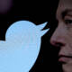Elon Musk New CEO Twitter