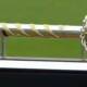 World Test Championship prize