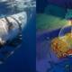 Simpsons predicted missing submarine