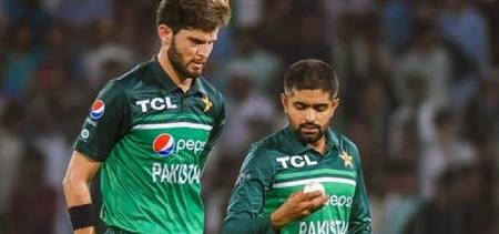 shaheen shake hands