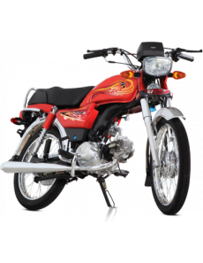 Eagle Firefly Electric Bike 