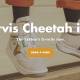 Controversial Marketing Campaign: "Taliban's Preferred Shoe" Sparks Outrage in the U.S