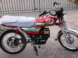 Roadmaster RM E-Bike