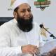 Inzamam steps down as chief selector