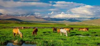 A Guide to 10 National Parks in Pakistan 2023