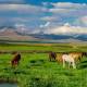 A Guide to 10 National Parks in Pakistan 2023