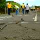 Earthquake Shakes Lahore, Islamabad, and Nearby Areas