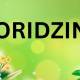 Oridzin