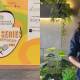 Young Tennis Star Zainab Ali Naqvi Passes Away at 17