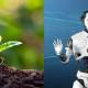 AI Helps Scientists Engineer Climate-Friendly Plants