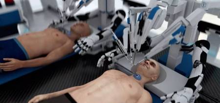 Bainbridge Head Transplant AI’s New Adventure