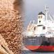Initial Report on Wheat Import Scandal Reveals Large-Scale Corruption