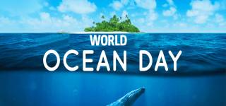 Celebrate June 8th World Ocean Day Today