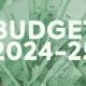 National Assembly Approves Budget 2024-2025 amidst Opposition Walkout