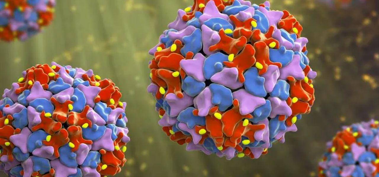 New Polio Cases Rise in Pakistan; Samples Found Positive from 44 Districts