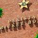 PCB will Likely change the Selection Committee Amidst the Cricket World Cup