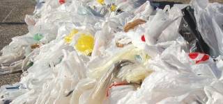 Punjab Government Bans Plastic Bag Use