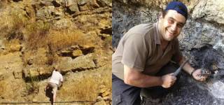 Amber Gemstone dating back 13 million years found in Lebanon.