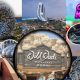 Dubai Diaries Top Must-Have Adventures in the City