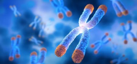 Single-Molecule Reverses Signs of Aging in Mice and Humans