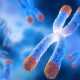 Single-Molecule Reverses Signs of Aging in Mice and Humans