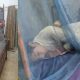Theft At Government's Warehouse In Quetta, Mosquito Net Worth Rs 300 Million Stolen