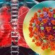Pakistan Confirms First MERS-CoV Case