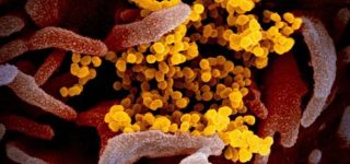 HMPV Outbreak In China – Everything You Need To Know