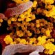HMPV Outbreak In China – Everything You Need To Know