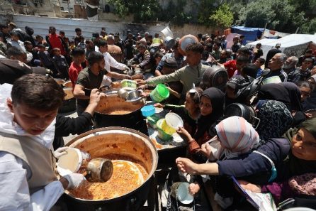 The Human Toll: Beyond the Statistics