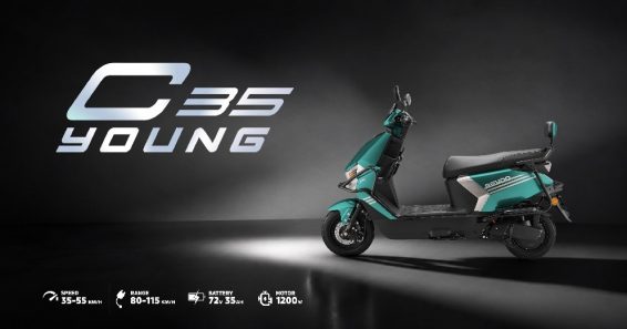 C35 Young